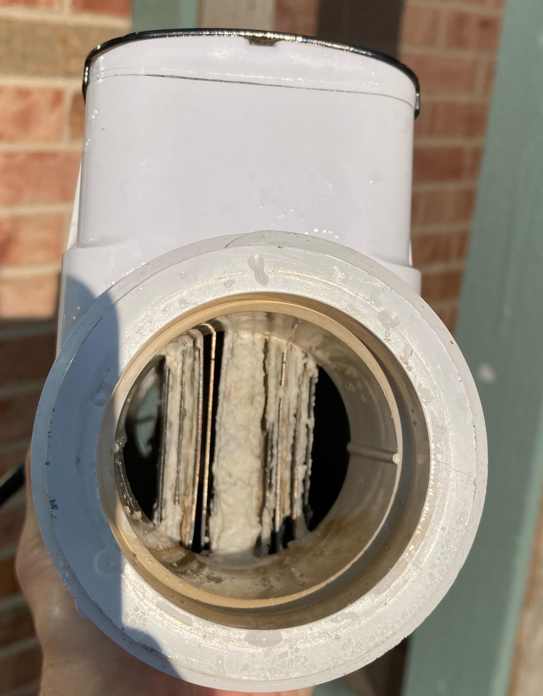 Salt Cell Not Producing Chlorine? Troubleshooting Your Salt System
